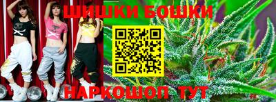 индика Пушкино