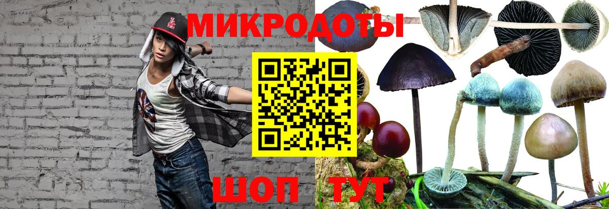 Галлюциногенные грибы Magic Shrooms Саянск