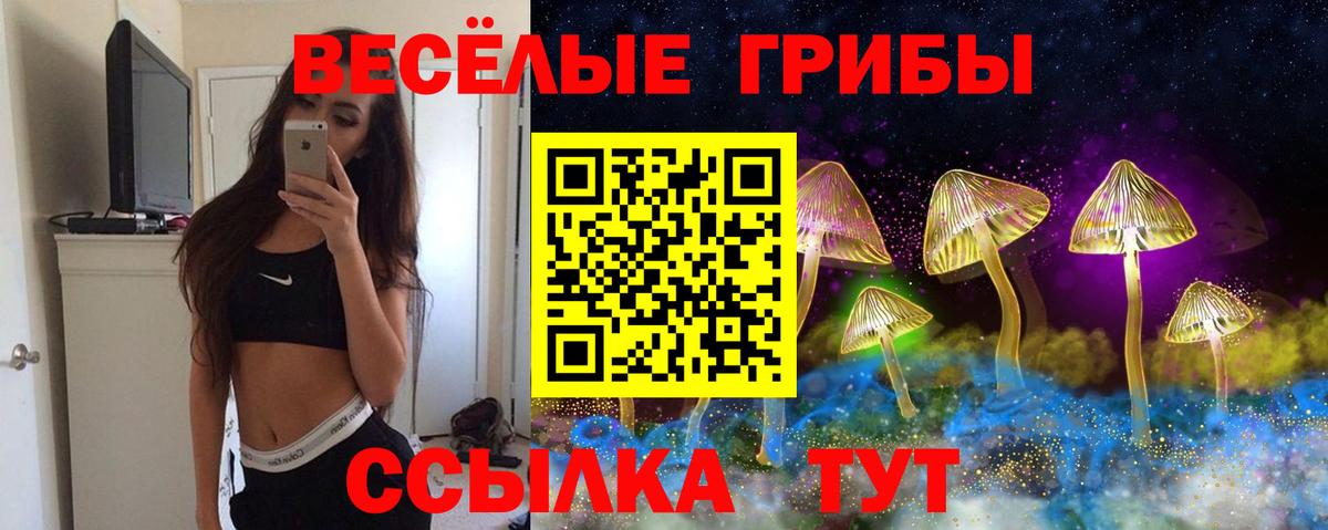 Галлюциногенные грибы Cubensis  Вход с VPN  Саянск  Галлюциногенные грибы Psilocybine cubensis 
